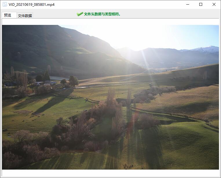 DiskGenius视频预览