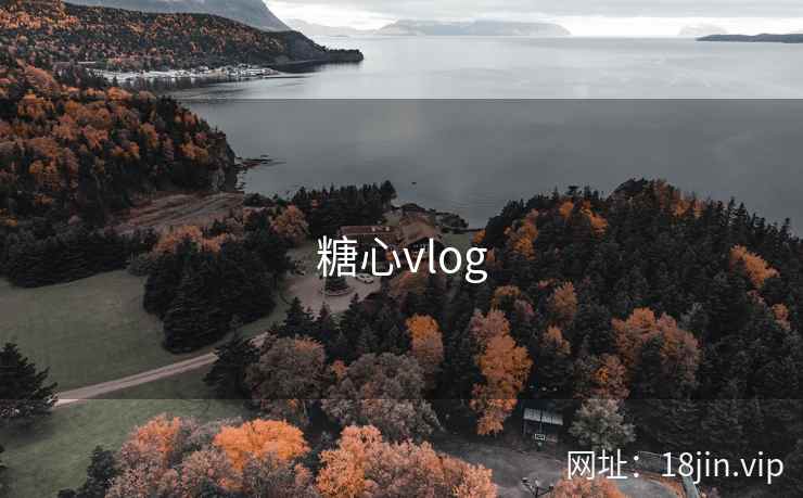 糖心vlog