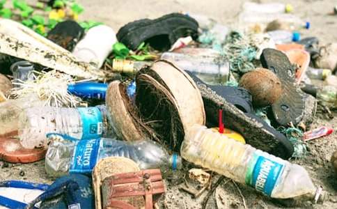 垃圾清运管理制度（通用24篇）