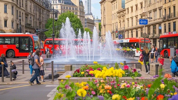 中国最有代表的花卉 常年开花的花卉有哪些