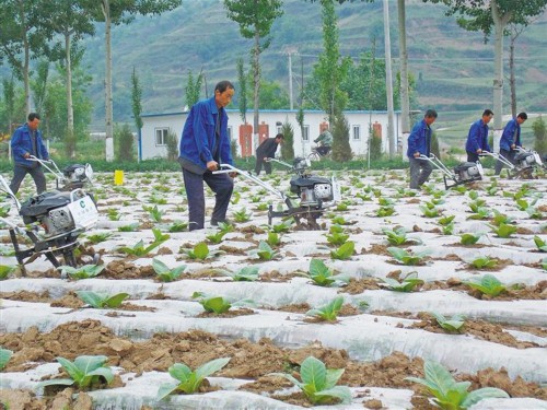 陇县“三管齐下”开启振兴路