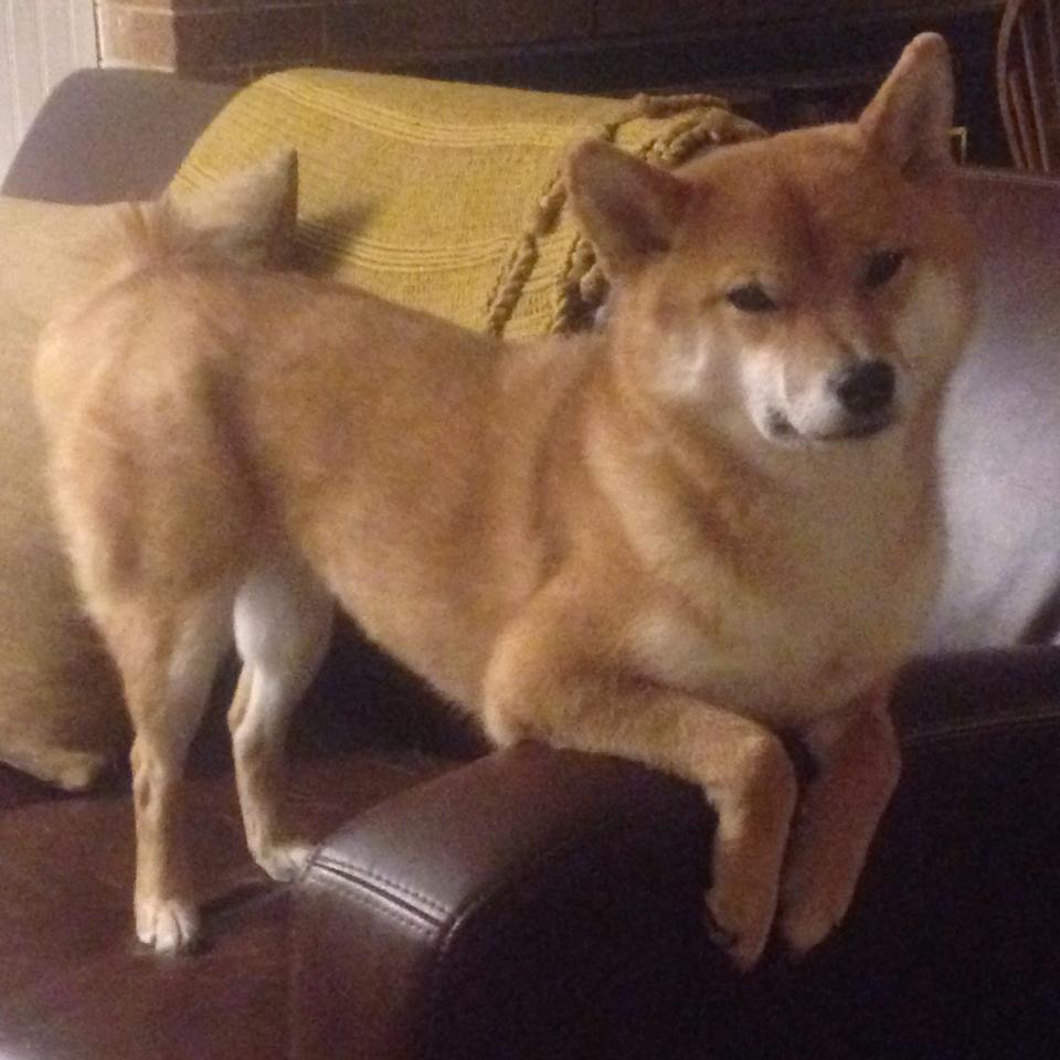 商会职位排名顺序_商会级别排名