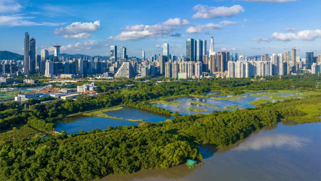 广东内伶仃-福田国家级自然保护区