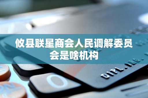 攸县联星商会人民调解委员会是啥机构