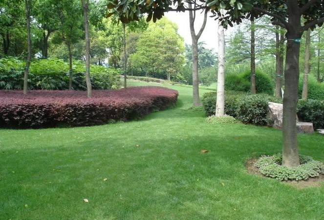 现代景观设计案例 国内十大优秀景观案例分析