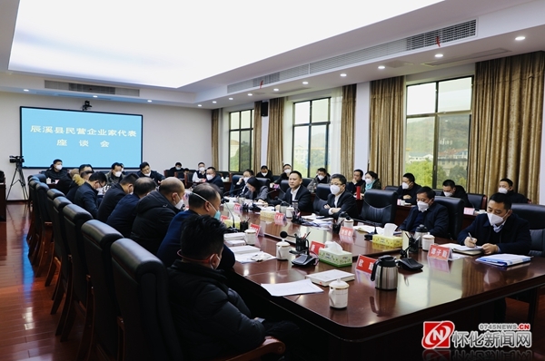 辰溪民营企业家代表座谈会现场