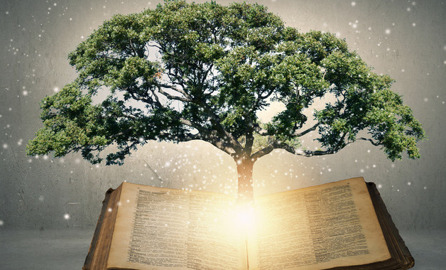 公务邀请函(6篇范文)-模板-格式-怎么写