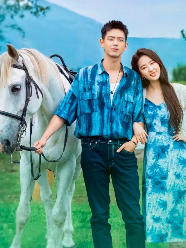 《去有风的地方》