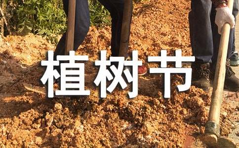 公司植树节策划活动方案（精选15篇）