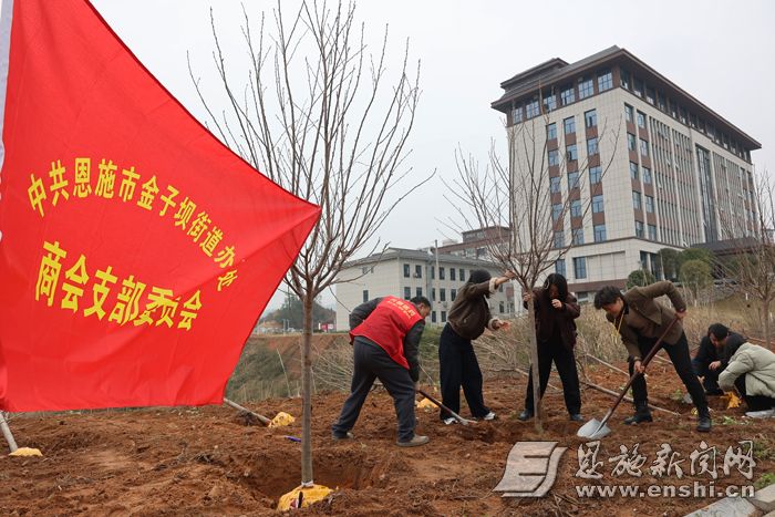商会党支部党员栽下樱花树。