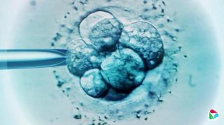 美国30余年前冷冻胚胎诞出婴儿,打破世界纪录